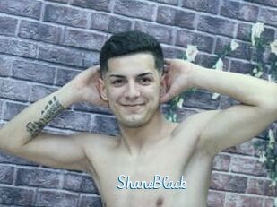 ShaneBlack