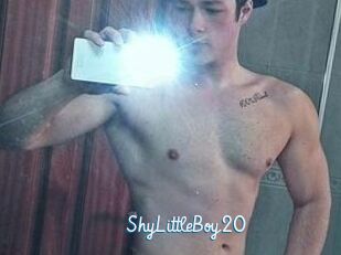 ShyLittleBoy20