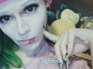 SkyBurrito