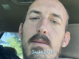 Snakec2018