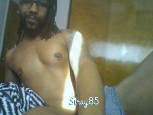 Stray85