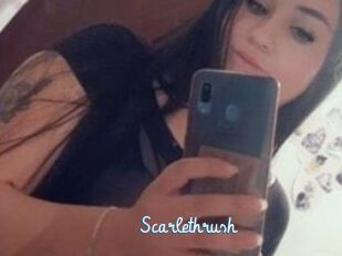 Scarlethrush