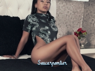 Seacarpemtier