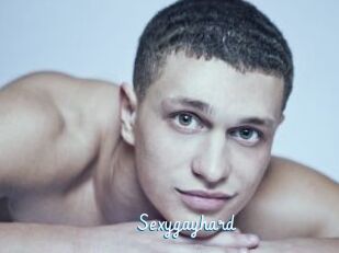Sexygayhard