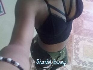 Sharlot_bunny