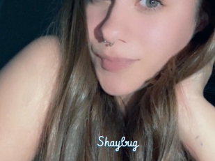 Shaybug