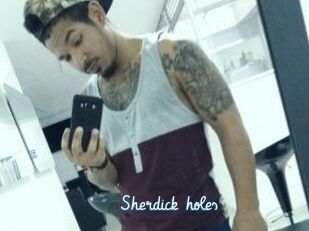 Sherdick_holes