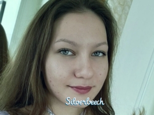 Silverbeech
