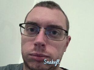 Snakefl