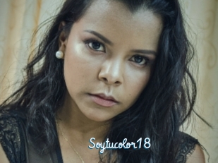Soytucolor18