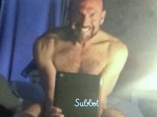 Subbot