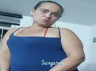 Susigarcia