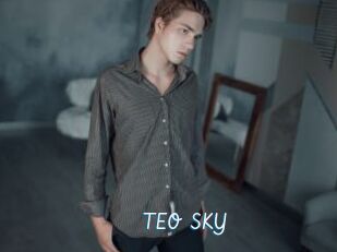 TEO_SKY