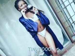 TINY20004