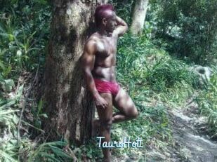 Tauro_Hott