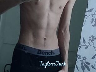 TaylorsJunk