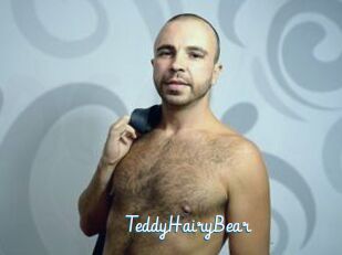 TeddyHairyBear