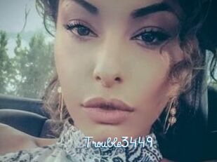 Trouble3449