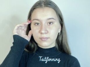 Taitfenning