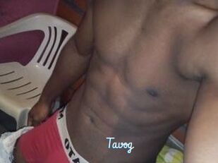 Tavog