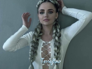 Tessaflow