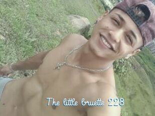 The_little_bruette_228