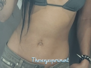 Thesexyexperiment