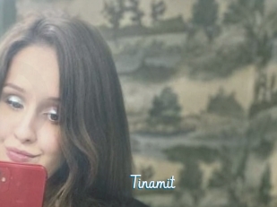 Tinamit