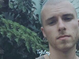 Tofu_boy