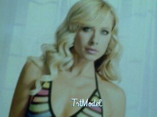 TstModel