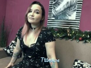Ttitmouse