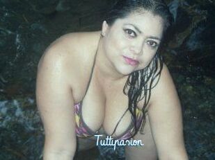 Tuttipasion