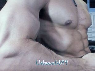 Unknown6699