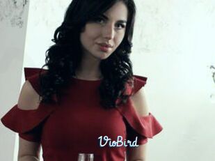 VioBird