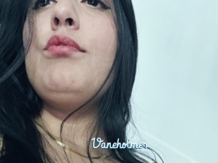 Vaneholmes