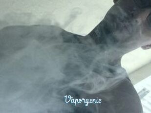 Vapor_genie