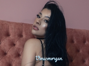 Venusmorgan