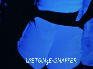 WETGiNgErSNAPPER