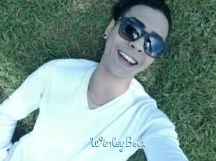 Wesley_Boix