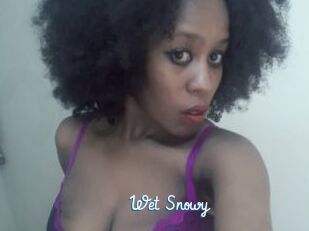 Wet_Snowy
