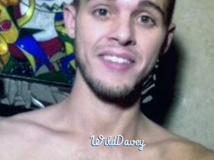 WildDavey