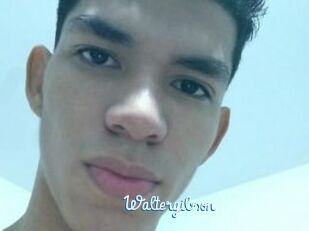 Waltergibson