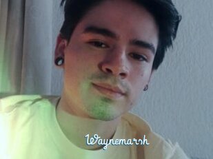 Waynemarsh