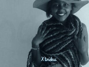 Xtinekui