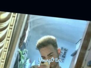 YoungOtter