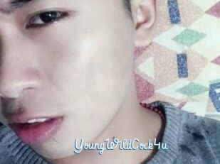 YoungWildCock4u