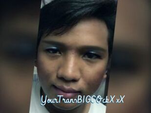 YourTransBIGCOckXxX