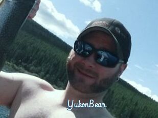 YukonBear