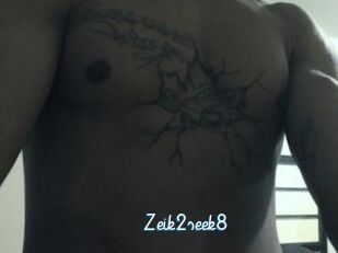 Zeik2seek8