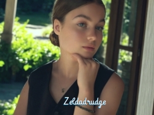 Zeldadrudge